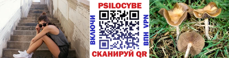 дарнет шоп  Володарск  Галлюциногенные грибы мицелий 