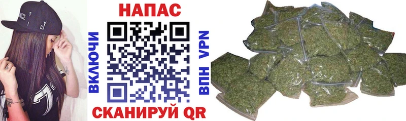 что такое   Володарск  Каннабис конопля 